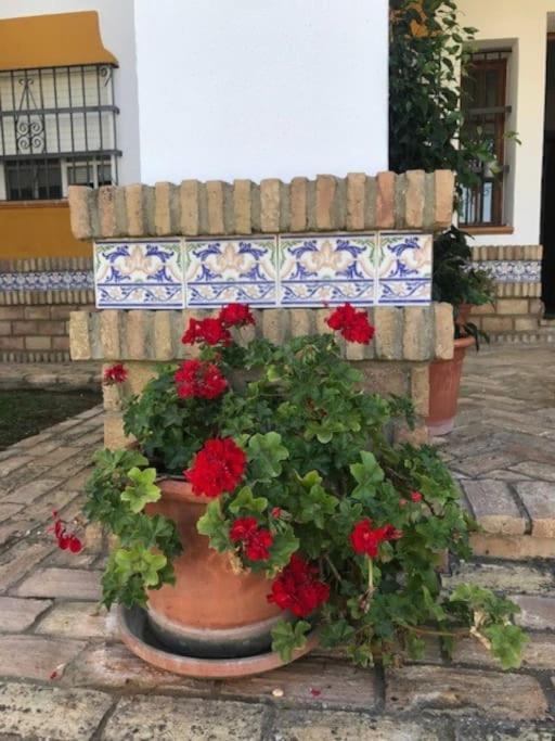 Вілла El Magnolio Чиклана-де-ла-Фронтера Екстер'єр фото
